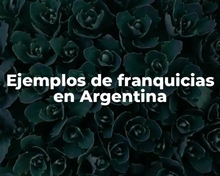 Ejemplos de franquicias en Argentina