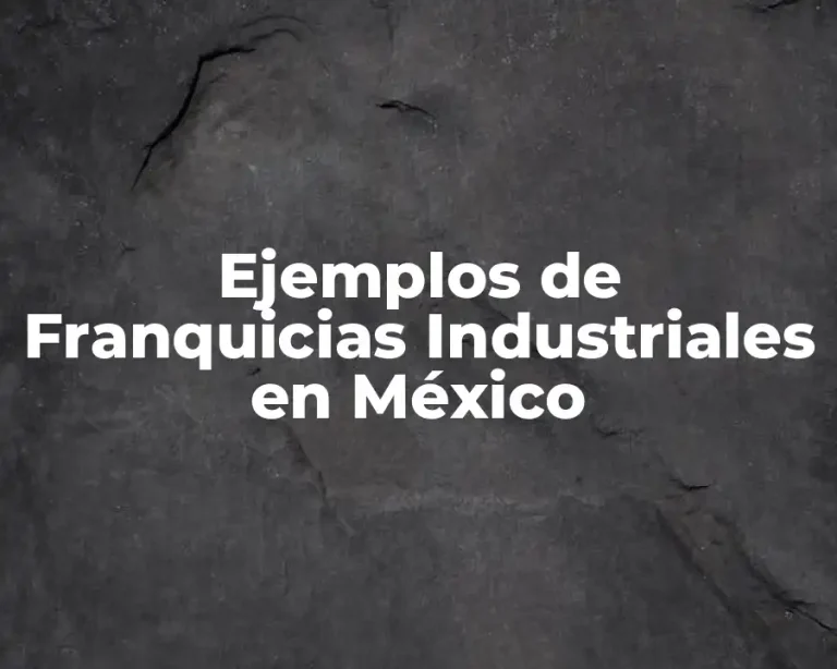 Ejemplos de Franquicias Industriales en México