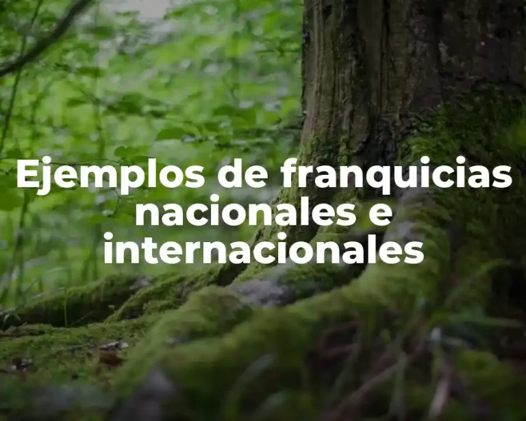 Ejemplos de franquicias nacionales e internacionales