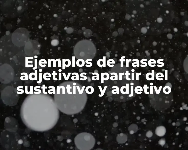 Ejemplos de frases adjetivas apartir del sustantivo y adjetivo