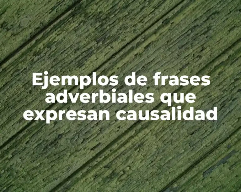 Ejemplos de frases adverbiales que expresan causalidad