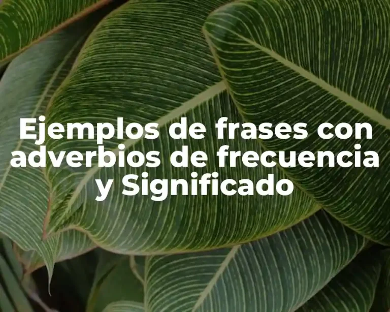 Ejemplos de frases con adverbios de frecuencia y Significado