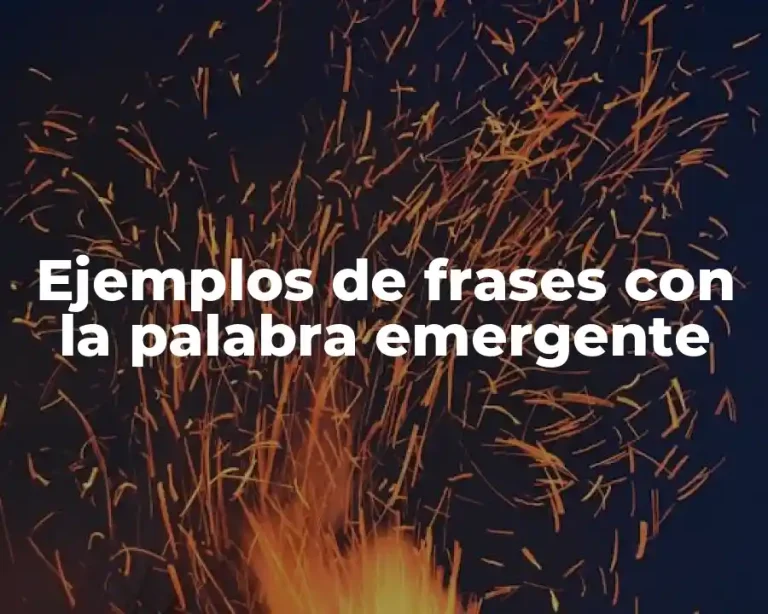Ejemplos de frases con la palabra emergente