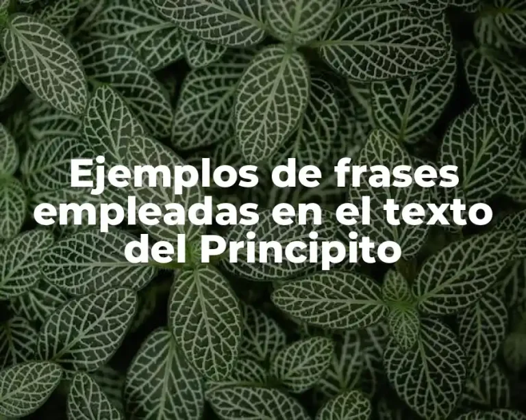 Ejemplos de frases empleadas en el texto del Principito