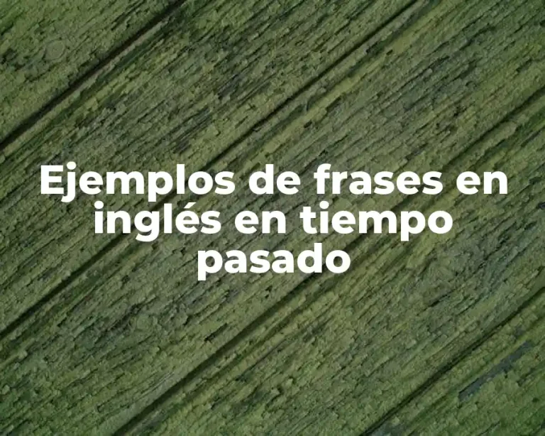 Ejemplos de frases en inglés en tiempo pasado