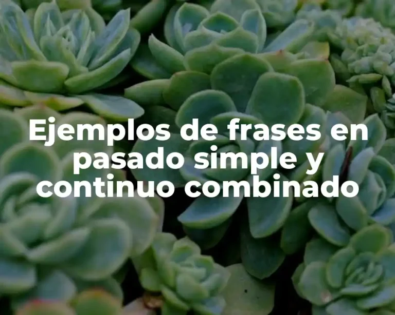 Ejemplos de frases en pasado simple y continuo combinado