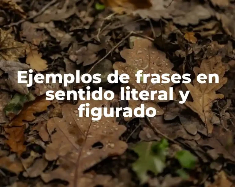 Ejemplos de frases en sentido literal y figurado