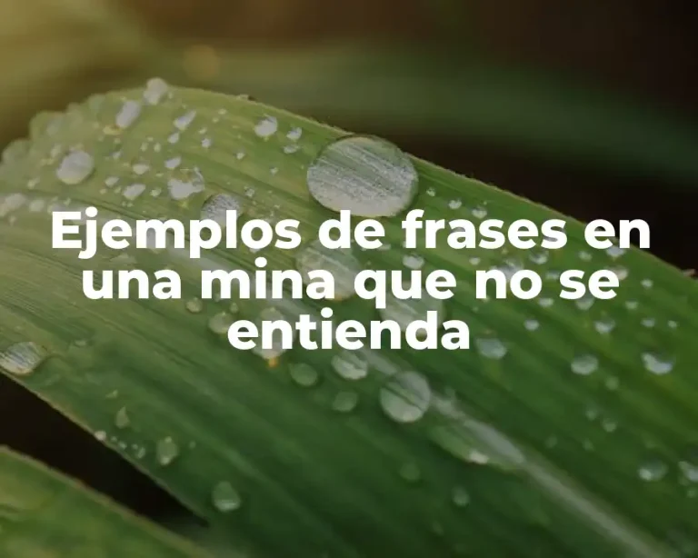 Ejemplos de frases en una mina que no se entienda