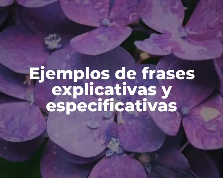 Ejemplos de frases explicativas y especificativas