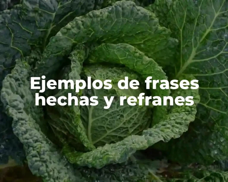 Ejemplos de frases hechas y refranes
