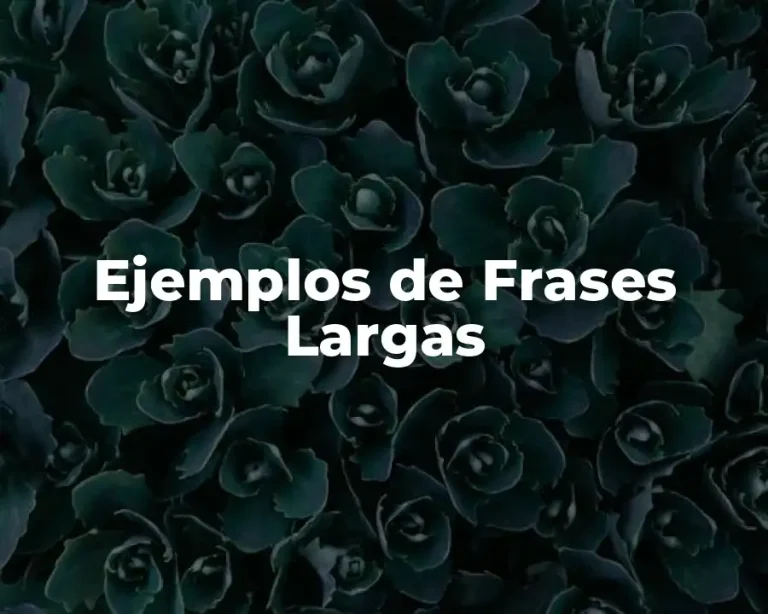 Ejemplos de Frases Largas