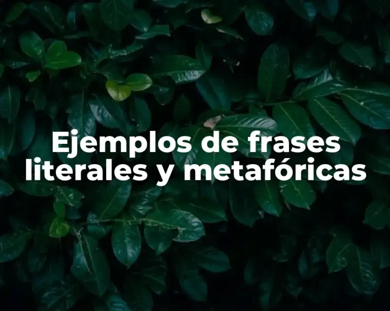 Ejemplos de frases literales y metafóricas