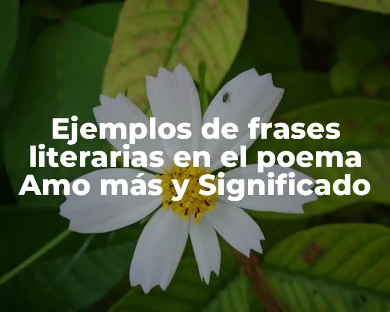 Ejemplos de frases literarias en el poema Amo más y Significado