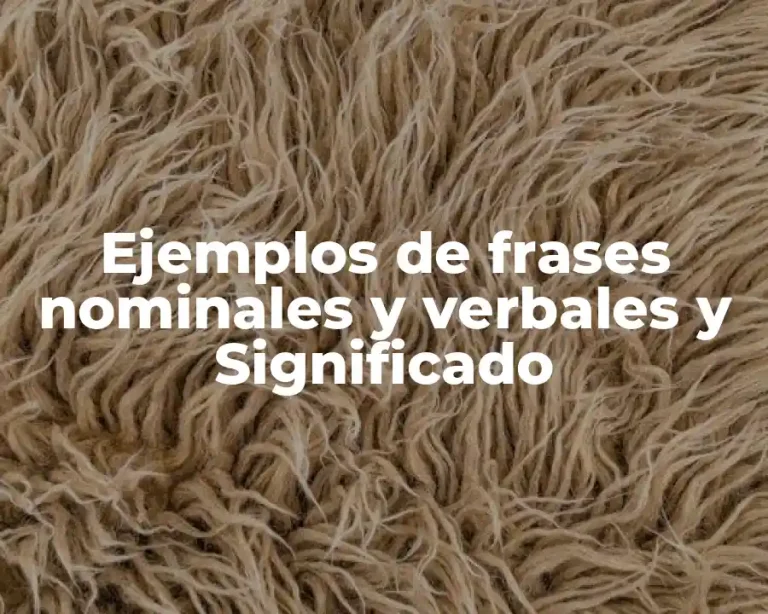 Ejemplos de frases nominales y verbales y Significado