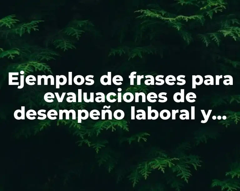 Ejemplos de frases para evaluaciones de desempeño laboral y Significado