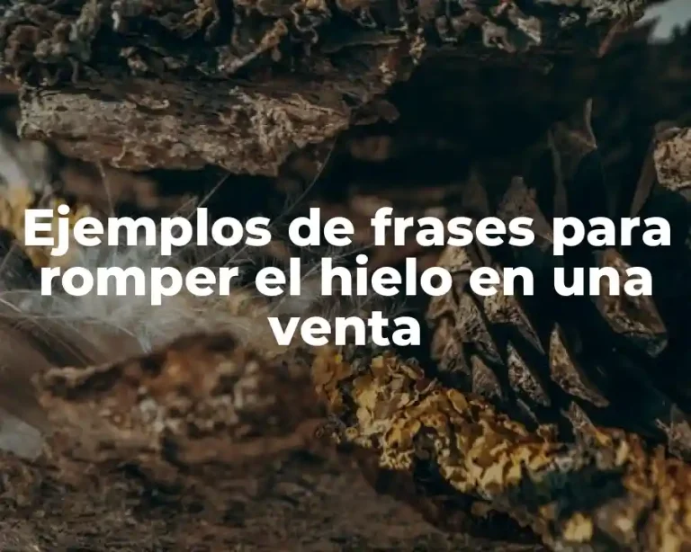 Ejemplos de frases para romper el hielo en una venta