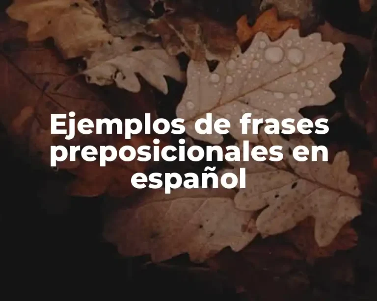 Ejemplos de frases preposicionales en español