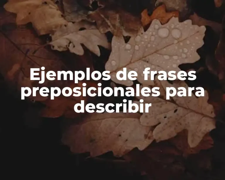 Ejemplos de frases preposicionales para describir