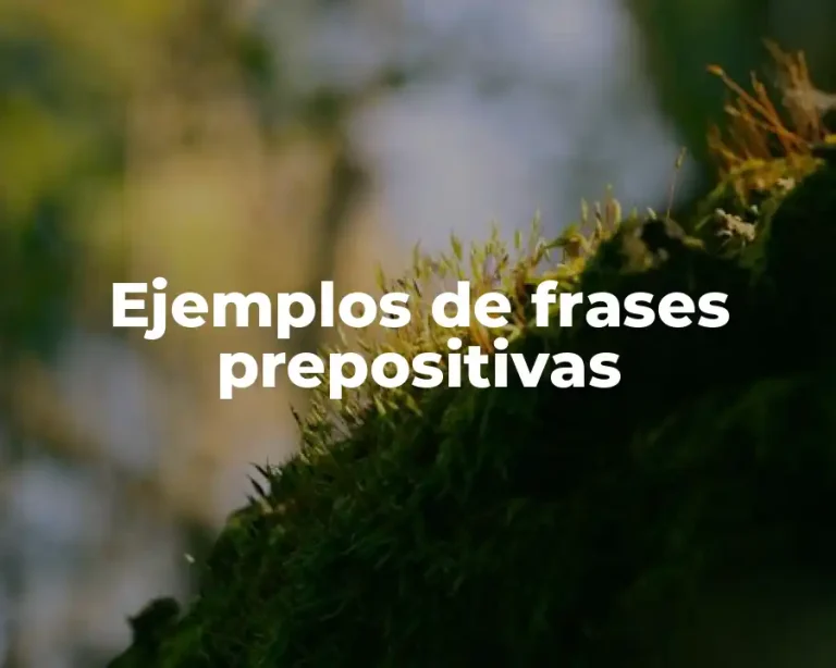 Ejemplos de frases prepositivas