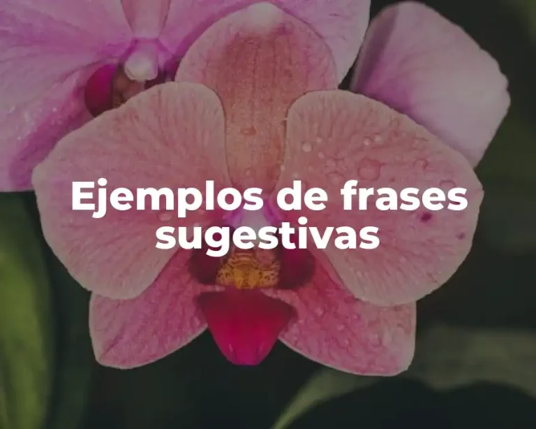Ejemplos de frases sugestivas