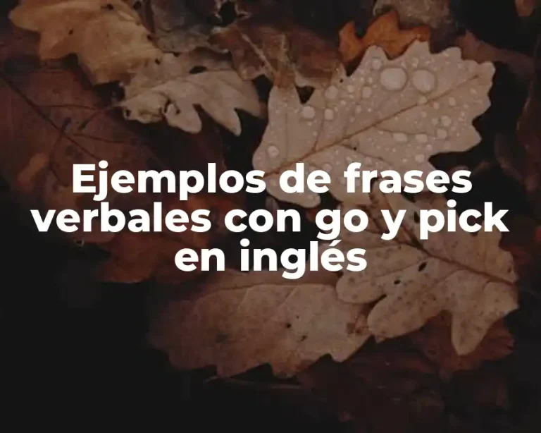 Ejemplos de frases verbales con go y pick en inglés