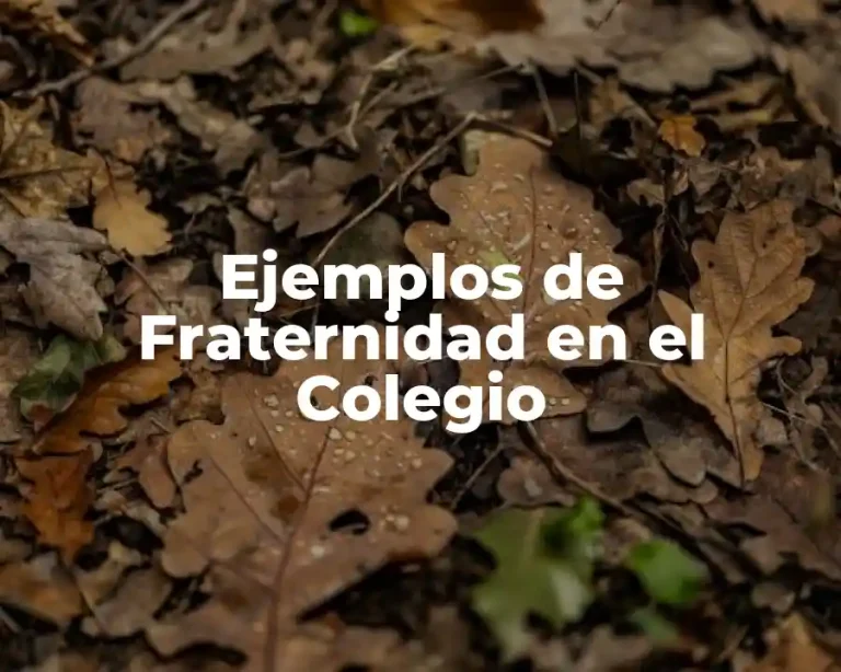 Ejemplos de Fraternidad en el Colegio