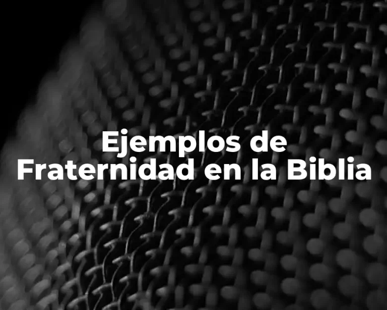 Ejemplos de Fraternidad en la Biblia