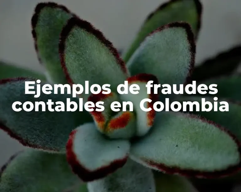 Ejemplos de fraudes contables en Colombia