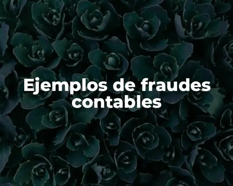 Ejemplos de fraudes contables