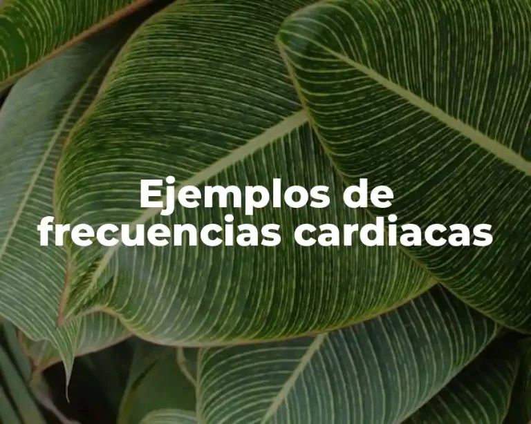 Ejemplos de frecuencias cardiacas