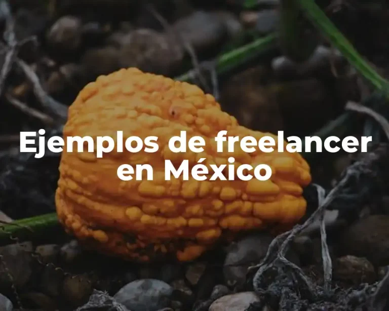 Ejemplos de freelancer en México