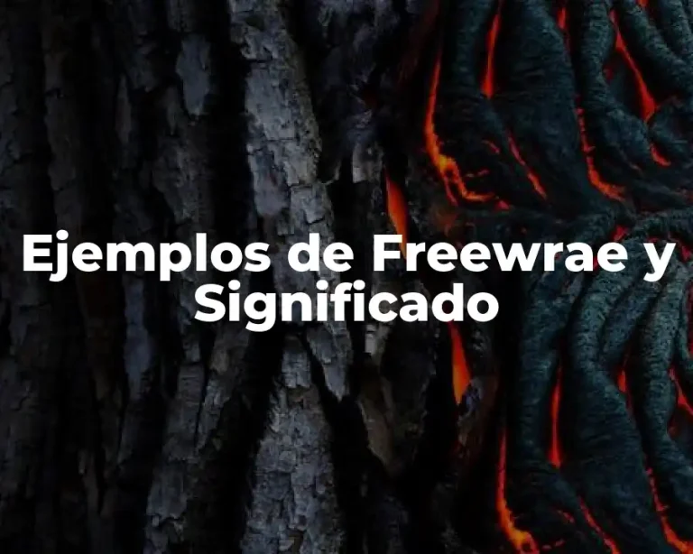 Ejemplos de Freewrae y Significado