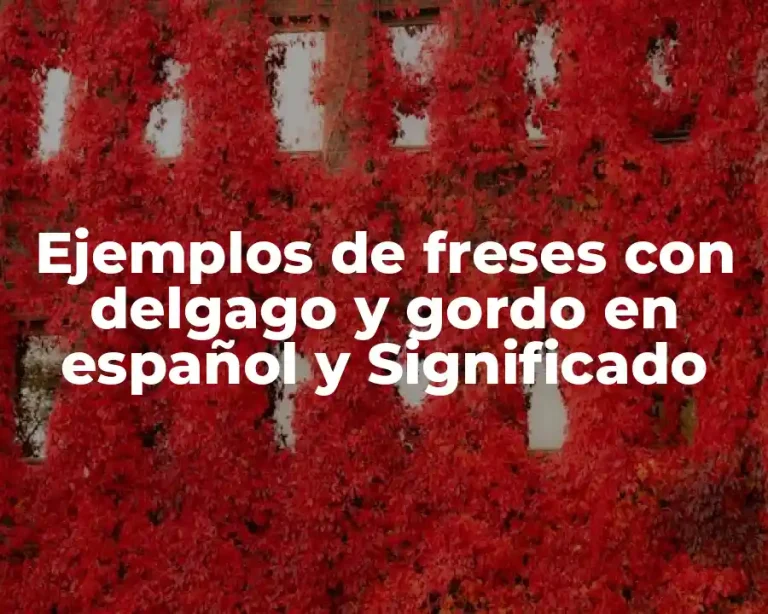 Ejemplos de freses con delgago y gordo en español y Significado