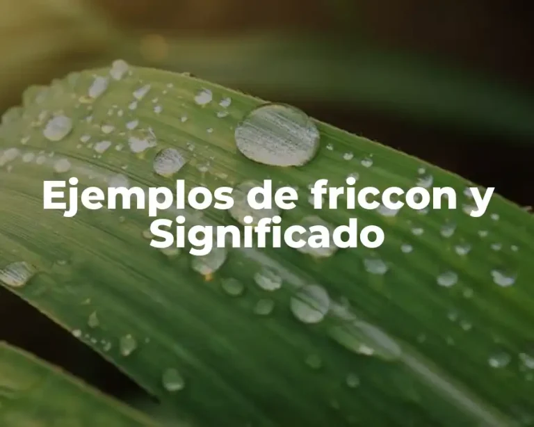 Ejemplos de friccon y Significado