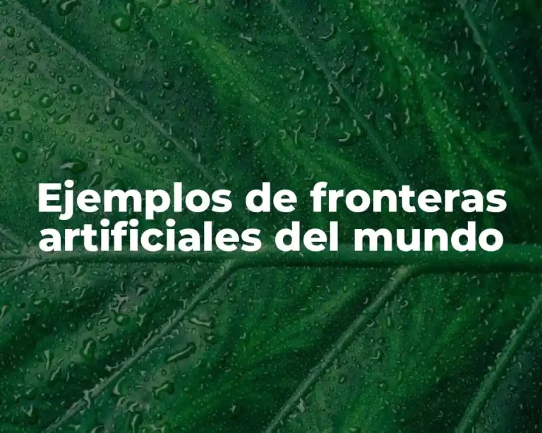 Ejemplos de fronteras artificiales del mundo