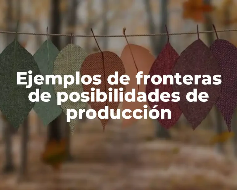 Ejemplos de fronteras de posibilidades de producción