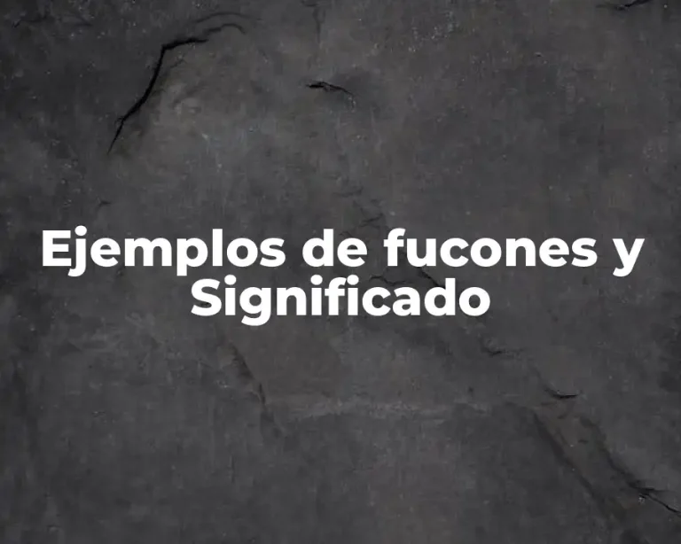 Ejemplos de fucones y Significado