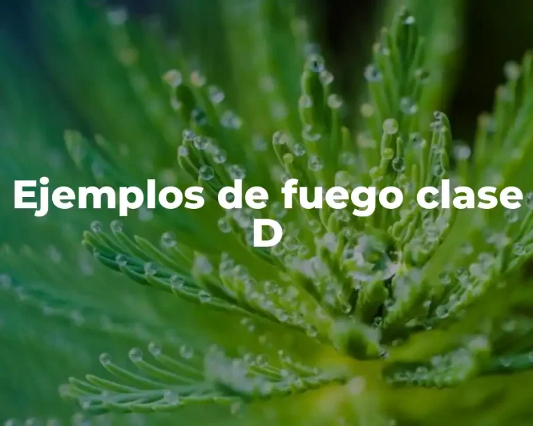 Ejemplos de fuego clase D
