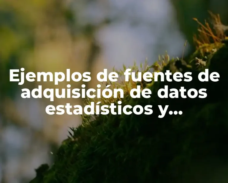 Ejemplos de fuentes de adquisición de datos estadísticos y Significado