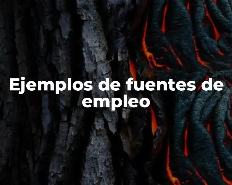 Ejemplos de fuentes de empleo