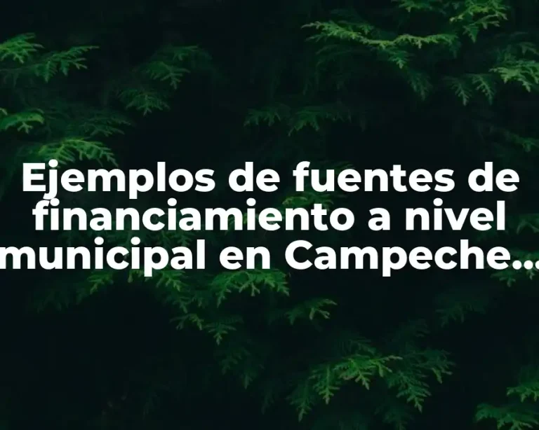 Ejemplos de fuentes de financiamiento a nivel municipal en Campeche y Significado