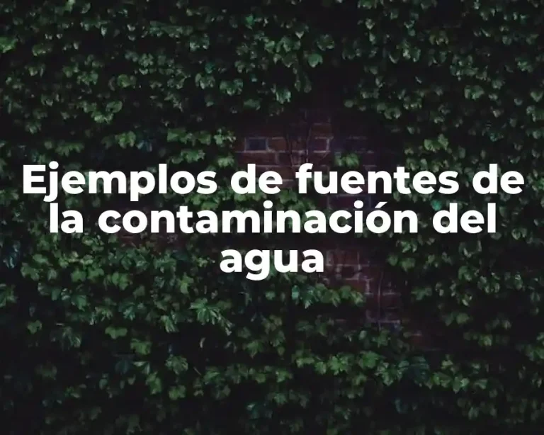 Ejemplos de fuentes de la contaminación del agua