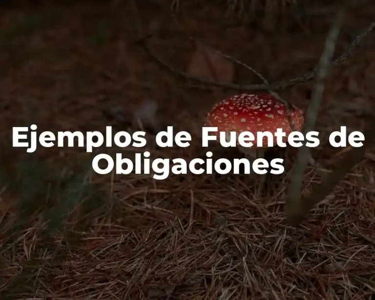 Ejemplos de Fuentes de Obligaciones