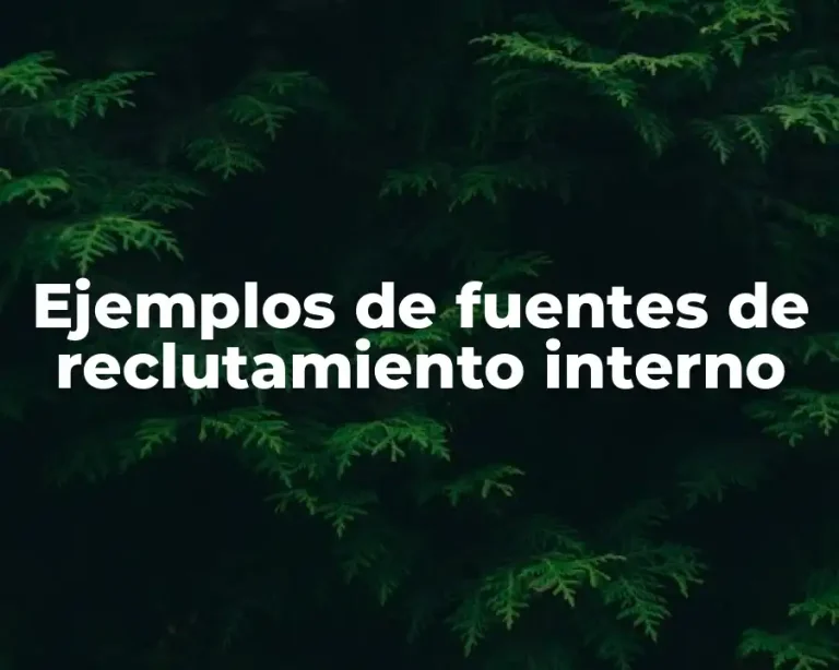 Ejemplos de fuentes de reclutamiento interno