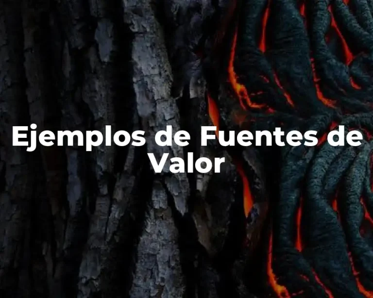 Ejemplos de Fuentes de Valor