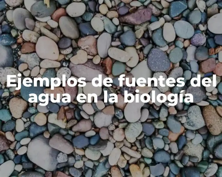 Ejemplos de fuentes del agua en la biología