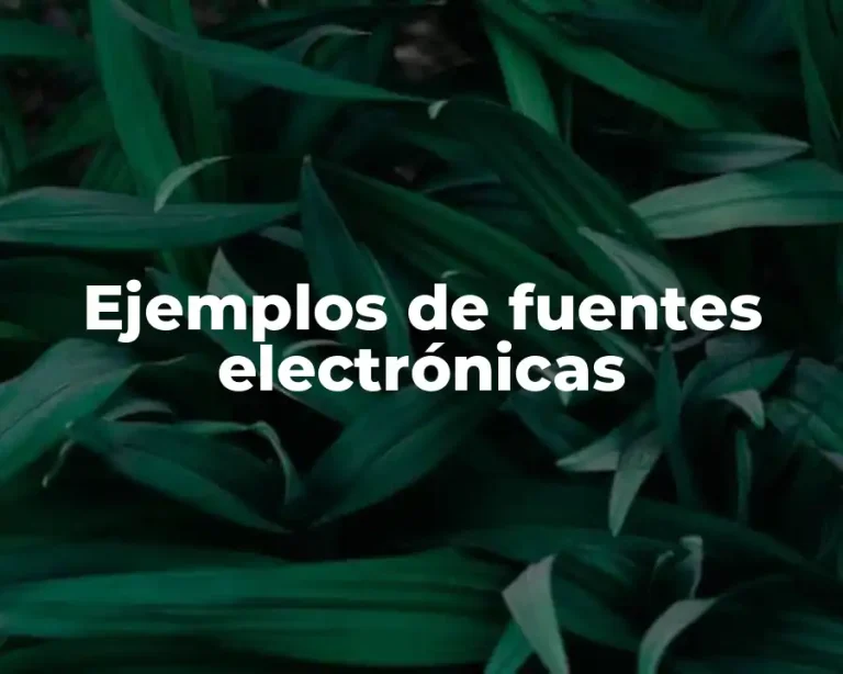Ejemplos de fuentes electrónicas