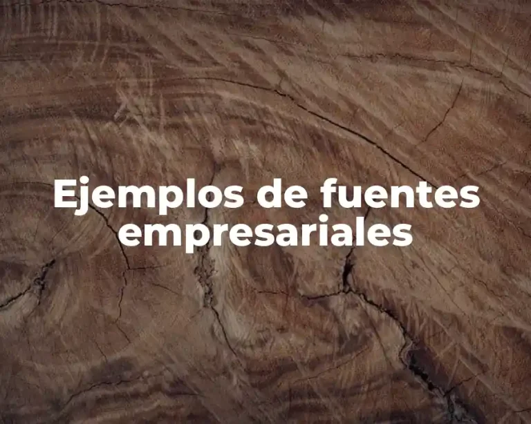 Ejemplos de fuentes empresariales
