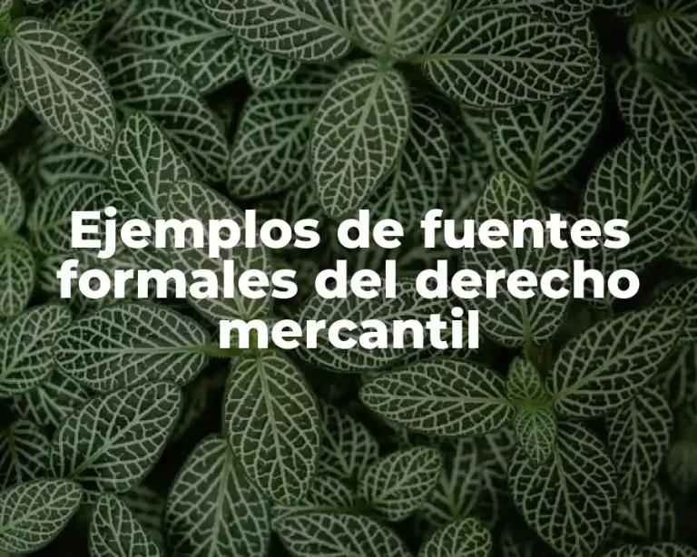 Ejemplos de fuentes formales del derecho mercantil