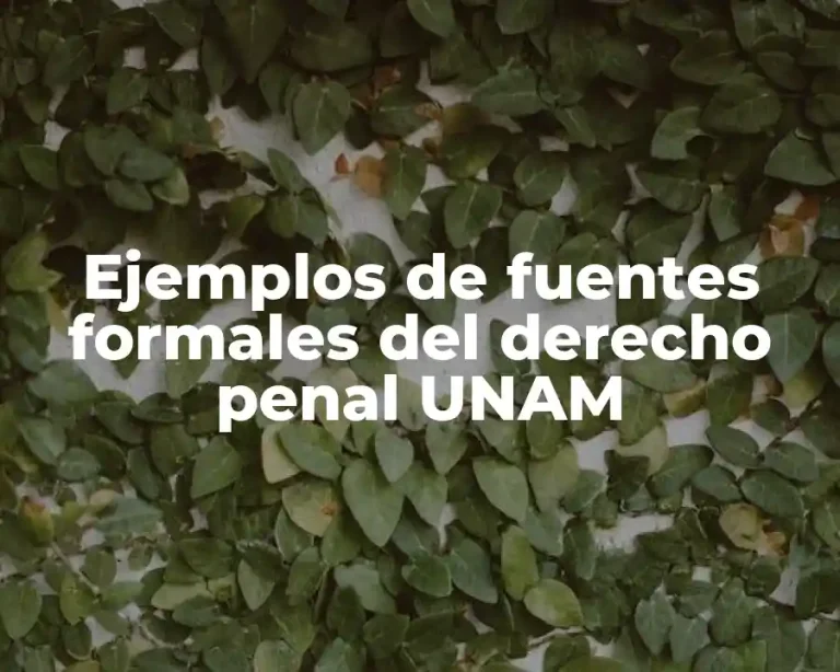 Ejemplos de fuentes formales del derecho penal UNAM
